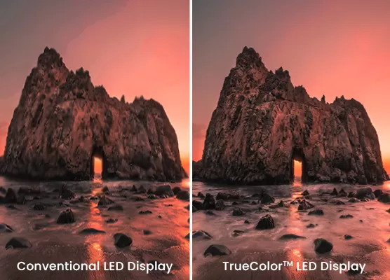 Feel The Virtual For Real With TrueColour™