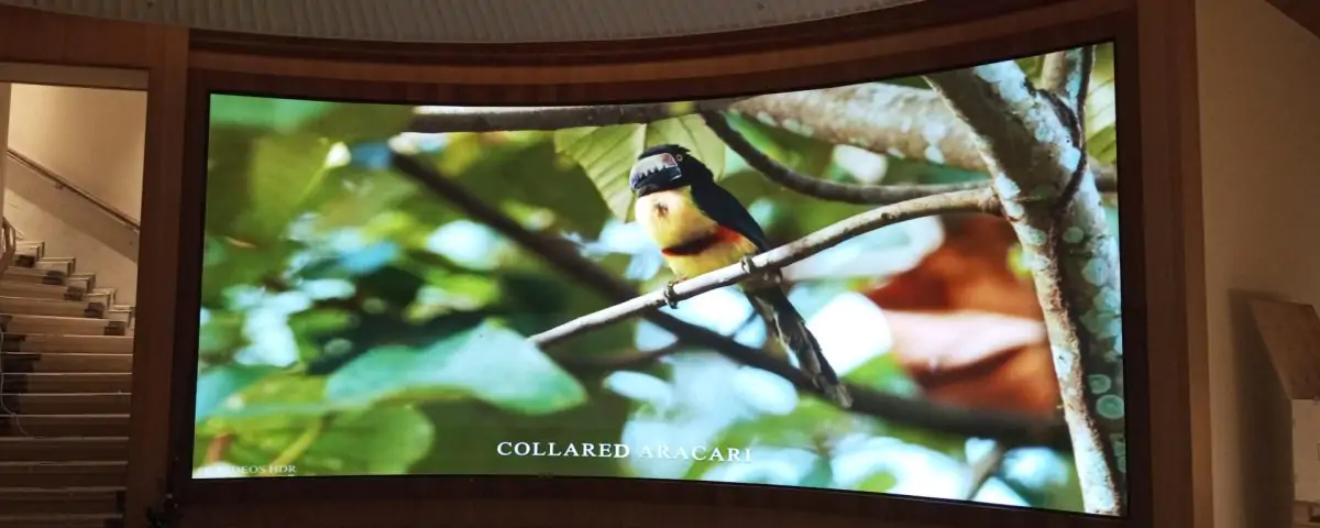 Premier Curved Screen Installation by Xtreme Media Exceeds Client Expectations
